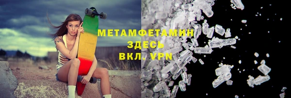 прущие грибы Аркадак