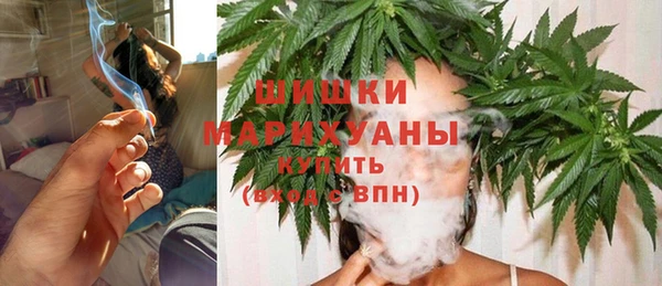 прущие грибы Аркадак