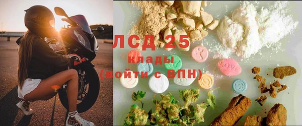 прущие грибы Аркадак