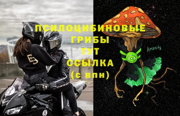 прущие грибы Аркадак