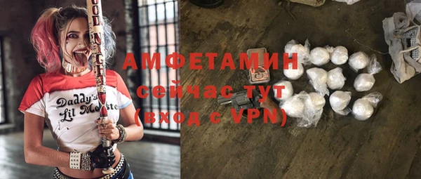 прущие грибы Аркадак