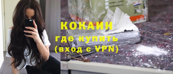 прущие грибы Аркадак