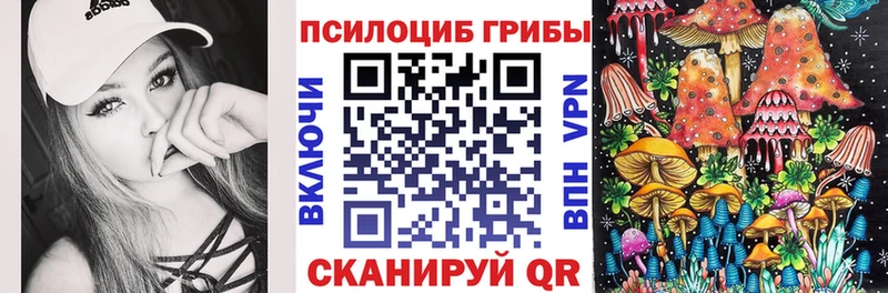 Галлюциногенные грибы мицелий  где можно купить   Свободный 
