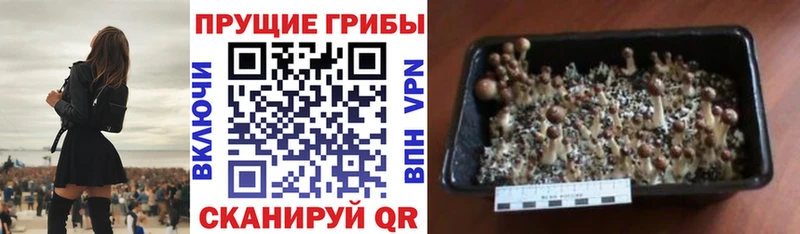 Псилоцибиновые грибы ЛСД Свободный